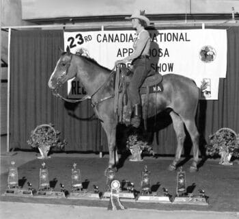 Apache Joe A - horse in front of several Canadian National Championship trophies