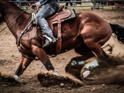 Close up of the side of a running horse with a western saddle and rider.