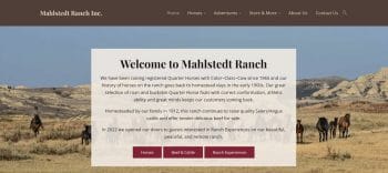 Mahlsted Ranch, Inc's website features Quarter Horses for sale, Ranch Adventures, beef, and even merchandise.