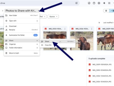 Sharing the open folder on Google Drive