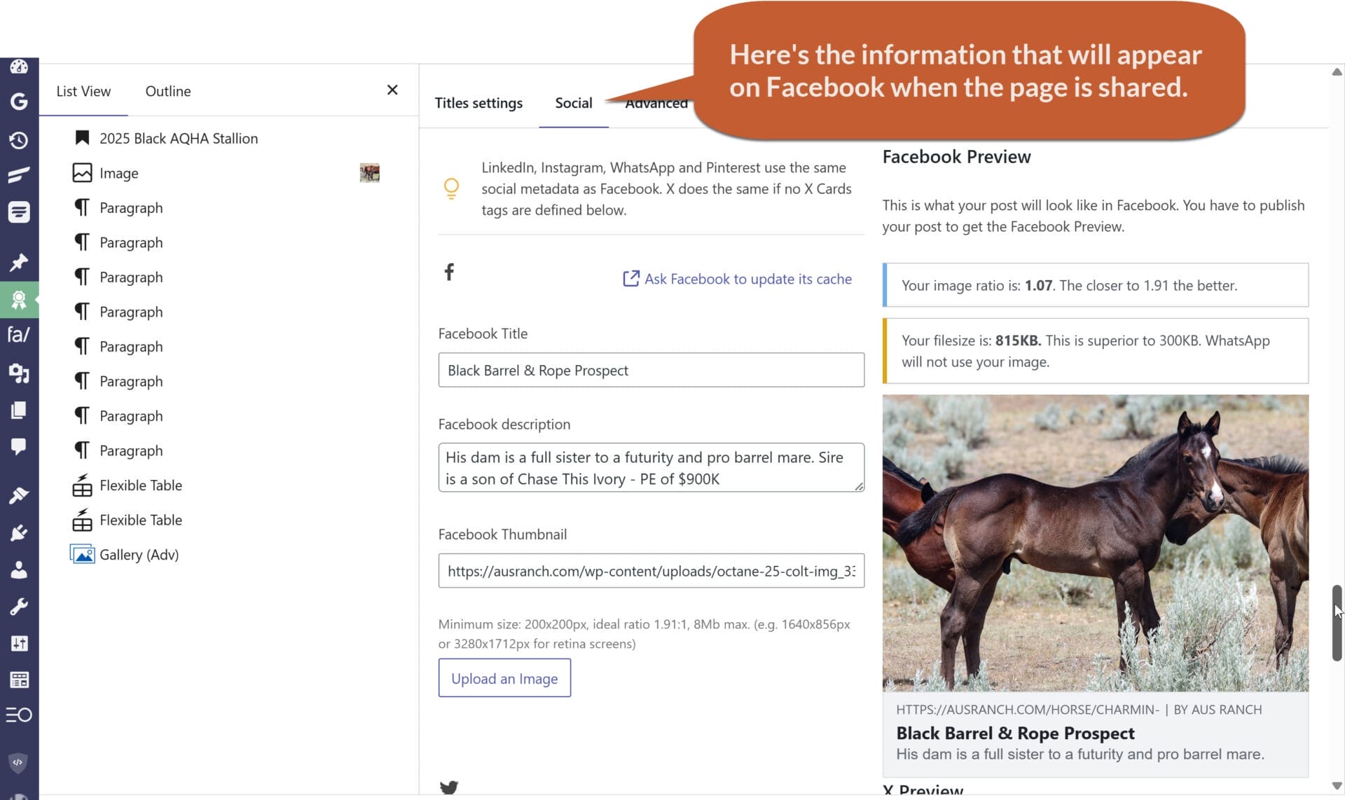 Screenshot showing where to add the information you want to appear on Facebook when you share the post.