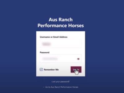 The WordPress login screen