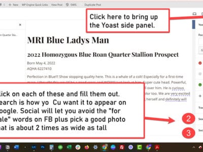 Screenshot showing the side panel in the Post Editor displaying the Yoast SEO plugin options.