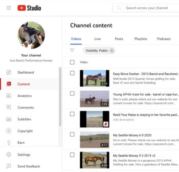 Screenshot of a horse breeder's YouTube channel content page